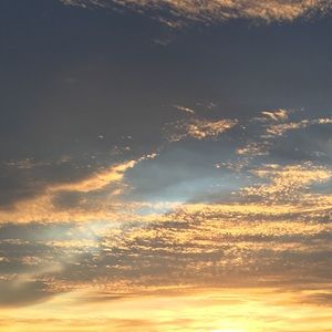 Meet your Posher, Margie